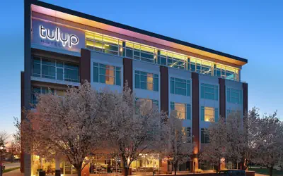 Tulyp, Tapestry Collection by Hilton