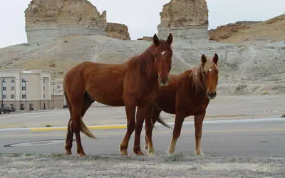 Hampton Inn & Suites Green River