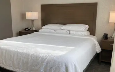 Embassy Suites by Hilton Chicago Schaumburg Woodfield