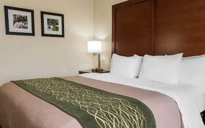 Comfort Inn - Pocono Mountains