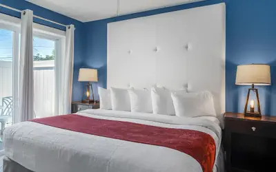 Avalon Hotel Downtown St. Petersburg