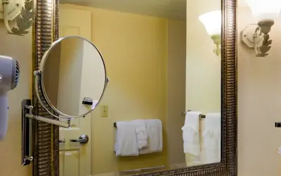 Holiday Inn Chantilly-Dulles Expo Center by IHG