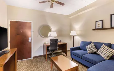 Comfort Suites Elkridge Columbia Gateway