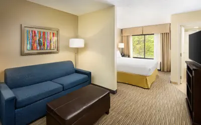 Holiday Inn Express & Suites Alpharetta by IHG