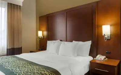 Comfort Inn & Suites Amarillo East