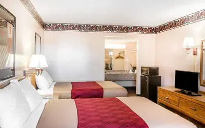 Econo Lodge McDonough South