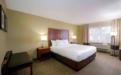 Comfort Inn Near Gila National Forest