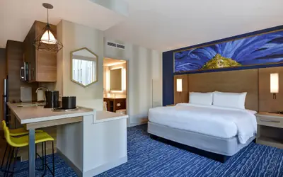 Residence Inn by Marriott New Orleans French Quarter Area/Central Business District