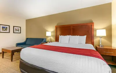 Comfort Inn Chattanooga Downtown Southside