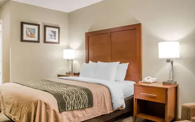 Comfort Inn Idaho Falls