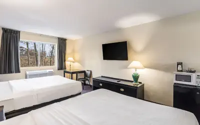 Econo Lodge Whitehall near Michigan's Adventure