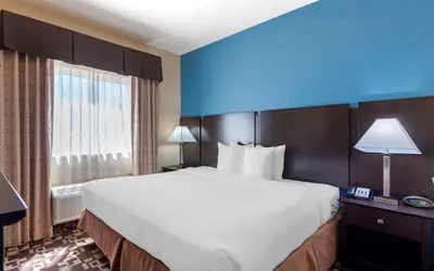 Best Western Plus Arlington North Hotel & Suites