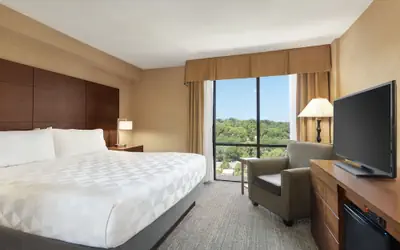 Holiday Inn National Airport/Crystal City by IHG