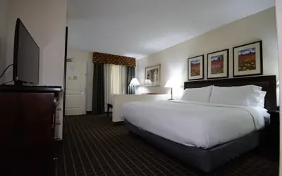 Holiday Inn Hazlet by IHG