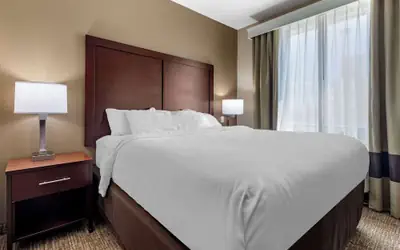 Comfort Suites Plano - Dallas North