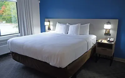 Comfort Suites Salem-Roanoke I-81