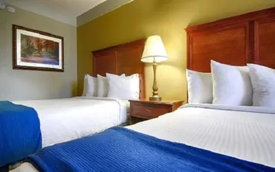 The Smokehouse Lodge and Cabins