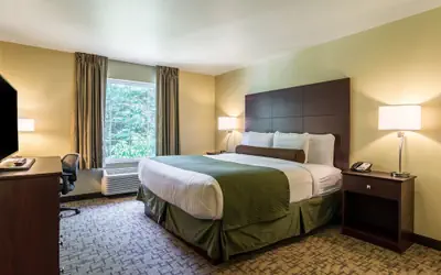 Cobblestone Hotel & Suites - Harborcreek