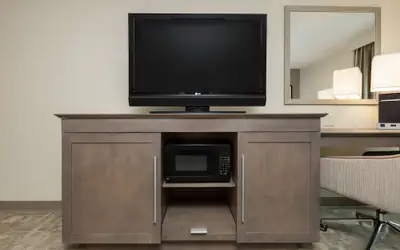 Hampton Inn Houston Near the Galleria