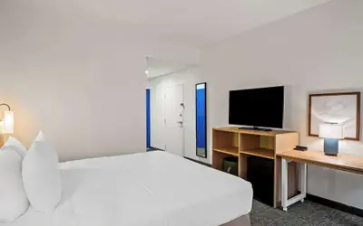 Spark by Hilton Stevensville