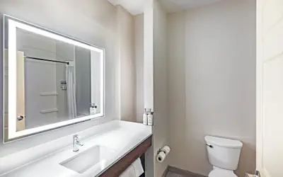 Holiday Inn Express Hotel & Suites - Houston Space Center by IHG