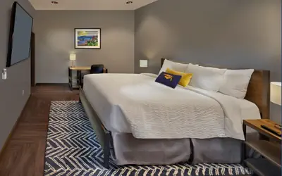 Scholar Morgantown, Tapestry Collection by Hilton