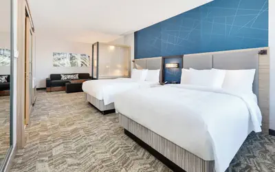 SpringHill Suites by Marriott Dallas Mansfield