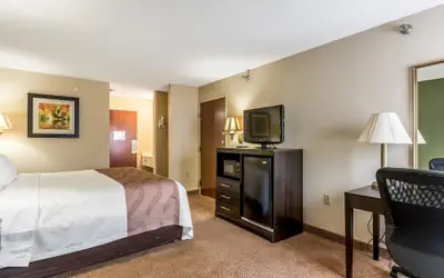 Quality Inn & Suites Clemmons I-40