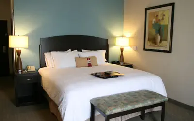 Hampton Inn and Suites Lake Jackson-Clute