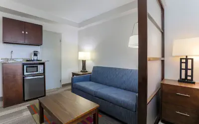 Holiday Inn Express & Suites Fort Worth Downtown by IHG