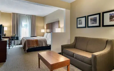 Comfort Inn & Suites Suwanee - Sugarloaf