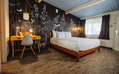 Hotel McCoy Tucson - Art, Coffee, Beer, Wine, Pool