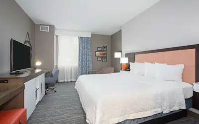 Hampton Inn & Suites Denver-Downtown