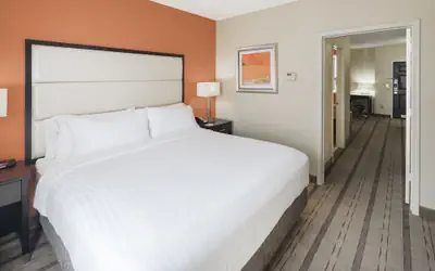 Holiday Inn Express & Suites Atlanta NE- Duluth by IHG