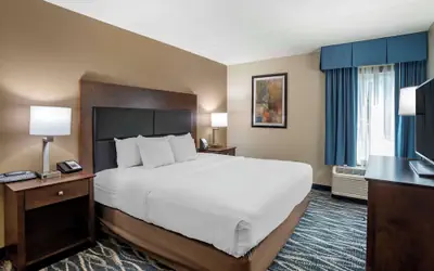 Comfort Inn & Suites Newark - Wilmington