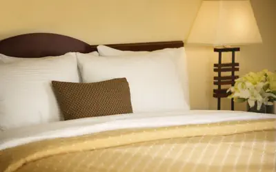 Larkspur Landing Extended Stay Suites Pleasanton