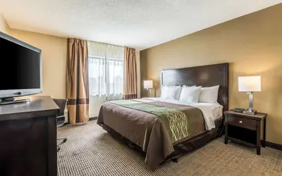 Comfort Inn Detroit Downtown