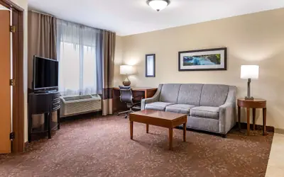 Comfort Inn Okemos - East Lansing