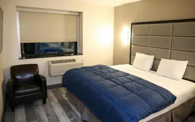 Umbrella Hotel Brooklyn