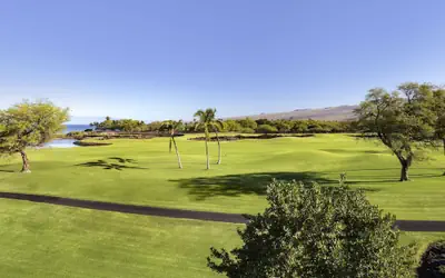 Fairmont Orchid