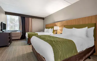 Comfort Inn & Suites Liverpool - Syracuse North