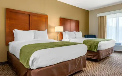 Comfort Inn & Suites Florence Center Area