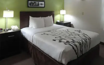 Sleep Inn & Suites Columbus - State University Area