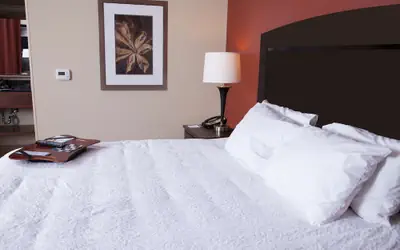 Hampton Inn & Suites Dickinson ND