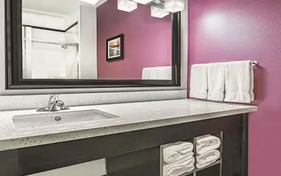 La Quinta by Wyndham Dallas Grand Prairie North