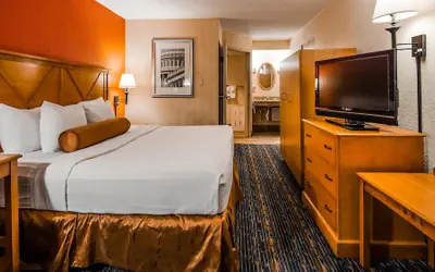 Best Western Dulles Airport Inn