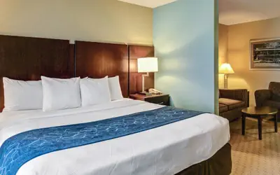 Comfort Suites near Hot Springs Park