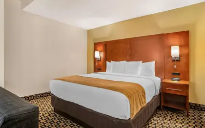 Comfort Inn & Suites Athens North