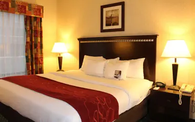 Comfort Suites Canton - Detroit