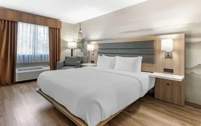 Best Western Plus Vineyard Inn